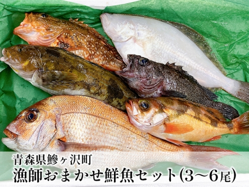 漁師おまかせ鮮魚セット(3～6尾)※北海道・東北・関東限定 380143 - 青森県鰺ヶ沢町