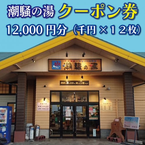 天然温泉 潮騒の湯 クーポン券 12000円分（1000円×12枚） 露店風呂 サウナ おんせん 大洗サンビーチ 海鮮 魚介 食事 宿泊 チケット 利用券 アウトドア 旅行 380188 - 茨城県大洗町