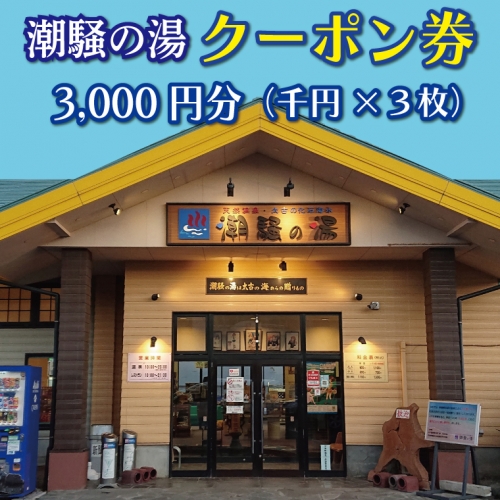 天然温泉 潮騒の湯 クーポン券 3000円分（1000円×3枚） 露店風呂 サウナ おんせん 大洗サンビーチ 海鮮 魚介 食事 宿泊 チケット 利用券 アウトドア 旅行 380197 - 茨城県大洗町