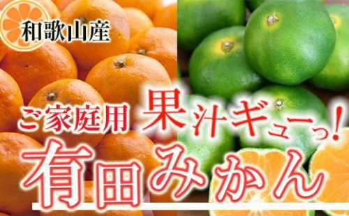 家庭用 有田みかん10kg+250g（傷み補償分）［2025年10月上旬から2026年1月下旬頃順次発送予定］［IKE252］ 380268 - 和歌山県上富田町