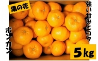 湯の花　ポンカン５kg箱セット　【 5Kg ポンカン みかん 果物 フルーツ 旬 柑橘 甘い 新鮮 】