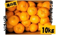 湯の花　ポンカン10kg箱セット　【 10Kg ポンカン みかん 果物 フルーツ 旬 柑橘 甘い 新鮮 】