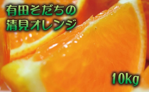 【2023年3月上旬～発送】有田育ちの清見オレンジ(ご家庭用)　約10kg 380442 - 和歌山県すさみ町