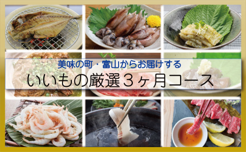 【３ヶ月定期便】美味の町・富山からお届けする！いいもの厳選３ヶ月コース 富山県 氷見市 定期便 魚 肉 惣菜 加工品 セット 380486 - 富山県氷見市