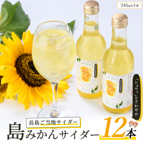 島みかんサイダー(12本)【レガーレ・ワキタ】waki-7338 380488 - 鹿児島県長島町