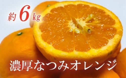 【みかん名産地和歌山有田】濃厚なつみオレンジ(ご家庭用) 約6kg 380537 - 和歌山県すさみ町
