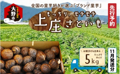 【11月発送分】上庄さといも5kg 日本一の味をめざし、有機肥料配合、減農薬栽培の「独自栽培」で作る里芋[A-005001_01]