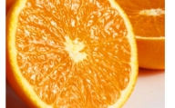 【予約】【ジューシー】清見オレンジ 5kg※2025年3月下旬頃～2025年4月中旬頃に順次発送予定（お届け日指定不可）