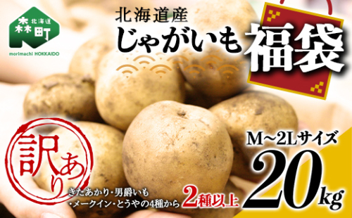 【先行予約】【訳あり】北海道森町産 じゃがいも福袋20kg （2026年8月上旬～12月中旬まで順次お届け） 野菜 ジャガイモ じゃがいも きたあかり だんしゃく 男爵いも とうや メークイン ポテト 北海道 セット 詰め合わせ 福袋 送料無料 mr1-0145 381317 - 北海道森町
