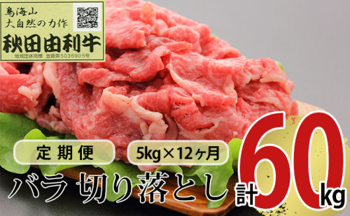 《定期便》12ヶ月連続 秋田由利牛 バラ切り落とし 5kg（1kg×5パック） 381527 - 秋田県にかほ市