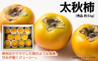 【先行予約】太秋柿（秀品５kg）［2022年10月～発送開始］【オンライン決済限定】