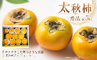 太秋柿 かき 柿(秀品)約5kg 愛媛県西条市 JA東予園芸 [先行予約・10月発送]| 柿 くだもの おすすめ 人気 果物 かき カキ 甘柿 大玉 フルーツ 愛媛県産 西条市産 送料無料 [オンライン決済限定]