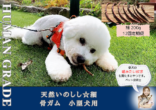 FB174_小型犬向け☆天然いのししの骨ガム200g【定期便】全12回 382038 - 佐賀県みやき町
