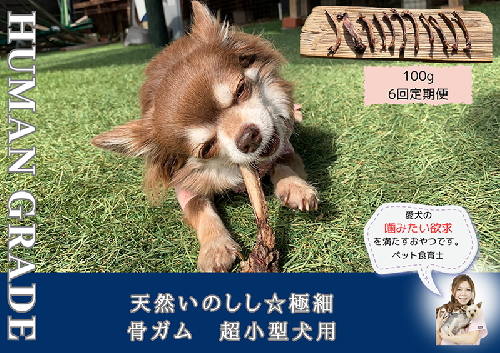 FB170_超小型犬向け☆天然いのししの骨ガム100g【定期便】全6回 382042 - 佐賀県みやき町
