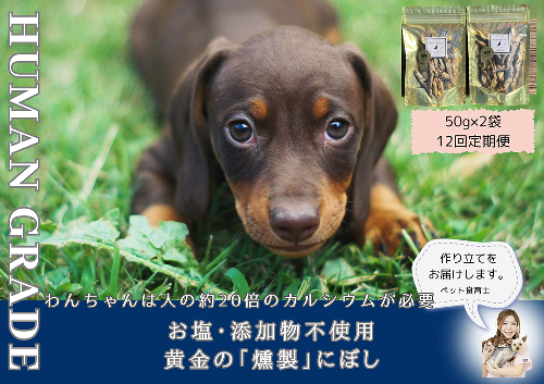 FB065 　犬と猫の無添加おやつ☆お塩不使用☆黄金の燻製にぼし【12回定期便】 382048 - 佐賀県みやき町