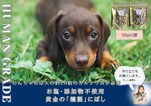 FB061 犬と猫の無添加おやつ☆お塩不使用☆黄金の燻製にぼし 382052 - 佐賀県みやき町