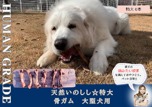 FB181_大型犬向け☆天然いのししの骨ガム6本 382058 - 佐賀県みやき町
