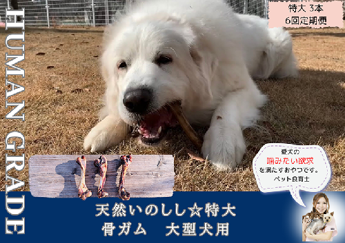 FB179_大型犬向け☆天然いのししの骨ガム3本【定期便】全6回 382060 - 佐賀県みやき町