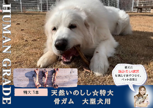 FB178_大型犬向け☆天然いのししの骨ガム3本 382061 - 佐賀県みやき町