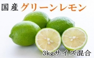 【先行予約】【産直】和歌山産グリーンレモン約3kg（サイズ混合）※2022年10月下旬より順次発送