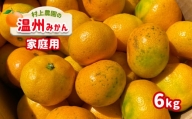 ご家庭用 温州みかん 約6kg 村上農園 | フルーツ 果物 くだもの 柑橘 柑橘類 みかん ミカン 温州ミカン 熊本県 玉名市