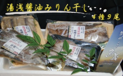 和歌山の近海でとれた新鮮魚の湯浅醤油みりん干し4品種9尾入りの詰め合わせ 383116 - 和歌山県すさみ町