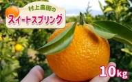 『 村上農園 』 スイートスプリング 10kg | フルーツ 果物 くだもの 柑橘 柑橘類 みかん ミカン スイートスプリング 熊本県 玉名市