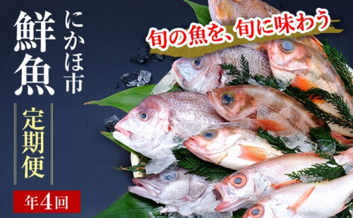 開けたらすぐ食べられる日本海の鮮魚定期便（2～3人前・年4回）(魚介 下処理済み 詰合せ 詰め合わせ セット) 38327 - 秋田県にかほ市
