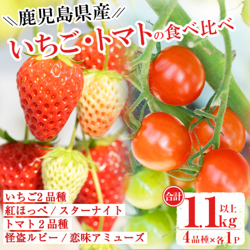 No.853 ＜先行予約受付中！2022年12月下旬～2023年6月15日の間に発送