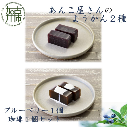 【老舗の味】あんこやさんの「ようかん2種」(ブルーベリー1個・珈琲1個セット)【2401H05921】 383492 - 兵庫県加古川市