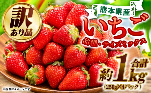 【2023年3月末までにお届け】熊本県産 訳あり いちご 合計 1kg (250g×4) 苺 イチゴ