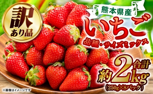 【2023年3月末までにお届け】熊本県産 いちご 合計 2kg (250g×8) 苺 イチゴ 383727 - 熊本県八代市