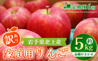 ＼予約受付 10月 発送開始 ／【 6ヶ月 定期便 】 北上産リンゴ 約 5kg 岩手県産 黄王 つがる ジョナゴールド 星の金貨 スリムレッド ふじ フジ シナノゴールド 王林 冷蔵 季節限定 国産 りんご 林檎 岩手県 北上市 L0101 P&Cリンク