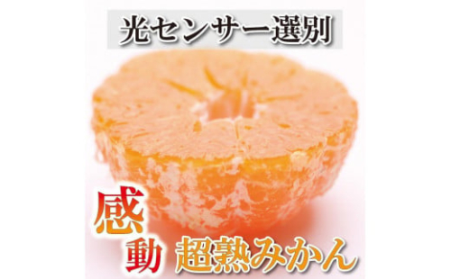 家庭用 超熟有田みかん 4kg+120g（傷み補償分）訳あり＜2024年11月より発送＞ 384508 - 和歌山県那智勝浦町