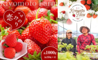 【1月以降発送】熊本たまな産 イチゴ 恋みのり 約1000g （ 250g × 4パック ） | フルーツ 果物 くだもの 苺 いちご 熊本県 玉名市
