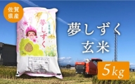 【特別栽培米】令和5年産 ももちゃんちのお米 夢しずく ( 一等米 )  玄米 5kg【ももさき農産】 [HCG006]