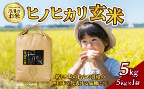 【B02007】丹生米の里丹川のお米 ヒノヒカリ玄米 5kg 385238 - 大分県大分市