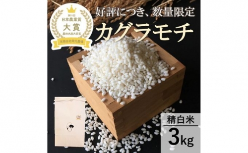 【日本農業賞大賞】もち米3kg精白米(カグラモチ) 386010 - 石川県能美市
