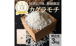 【ふるさと納税】【日本農業賞大賞】もち米3kg精白米(カグラモチ)