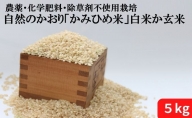 自然のかおり「かみひめ米」白米か玄米 5kg