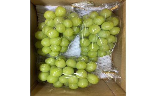 長野県坂城町産 シャインマスカット約2kg（3～4房） 果物 ぶどう フルーツ  386301 - 長野県坂城町