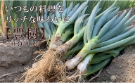 豊樹 -HOU JU- 2kg(約10〜15本) ねぎ ネギ 葱