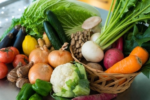 季節の無農薬野菜セット　11～13種類