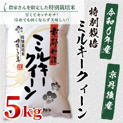 令和6年産　京都丹後産　特別栽培米ミルキークイーン5kg（5kg×1袋）
 386513 - 京都府京丹後市