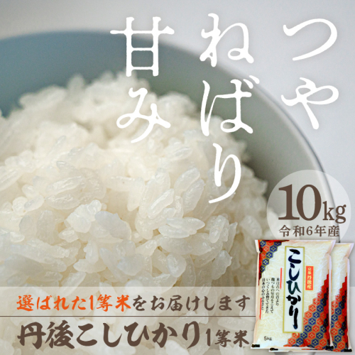 令和4年産 丹後こしひかり1等米5kg×2袋 386606 - 京都府京丹後市