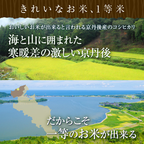 令和6年産 1等米 丹後こしひかり 10kg(5kg×2)