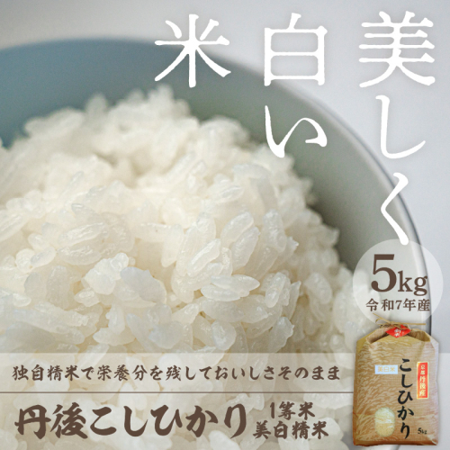 令和7年産 美白精米 丹後こしひかり 5kg 1等米
 386832 - 京都府京丹後市