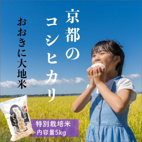 特別栽培米コシヒカリ「おおきに大地米」５ｋｇ　《令和4年度産》 386867 - 京都府京丹後市