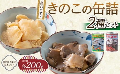 FYN9-545 きのこの缶詰2種セット(原木ひら茸・原木かのか茸)(400g×2種) 387805 - 山形県西川町
