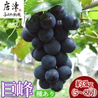 『予約受付』[令和6年7月上旬発送]唐津市産種あり大粒「巨峰」約3kg(5〜8房) ぶどう ブドウ 果物 フルーツ ギフト